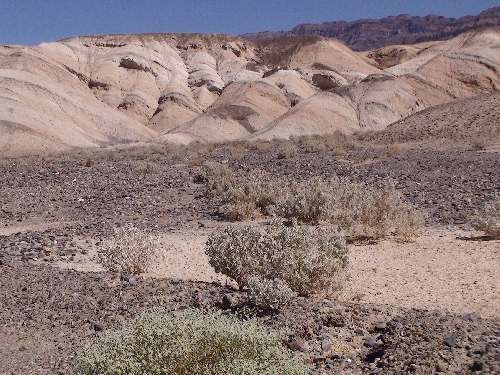 Death Valley - View